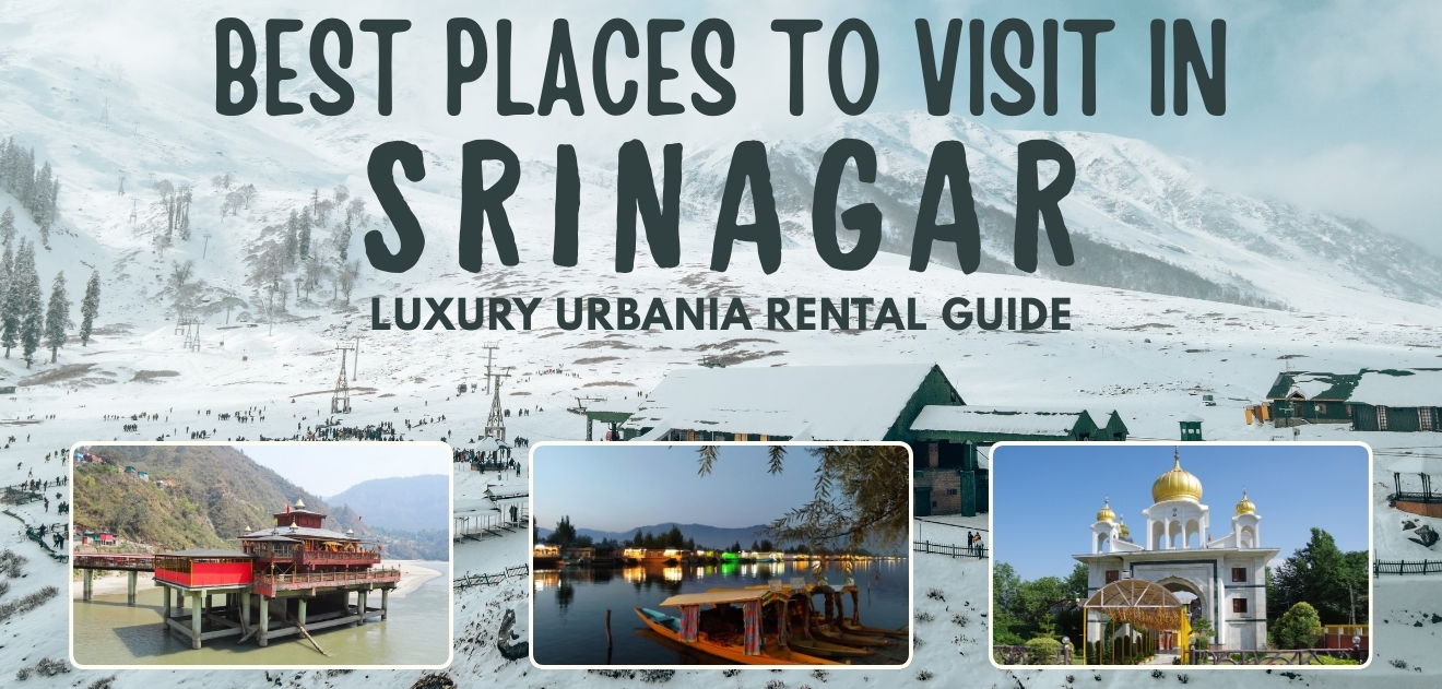 Jaipur Winter Trip 2026