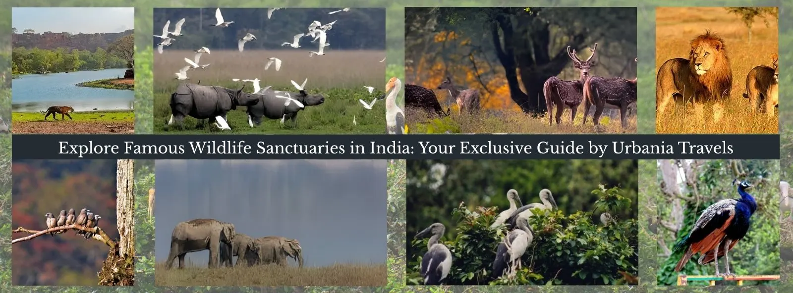 Jaipur to Kota by Road